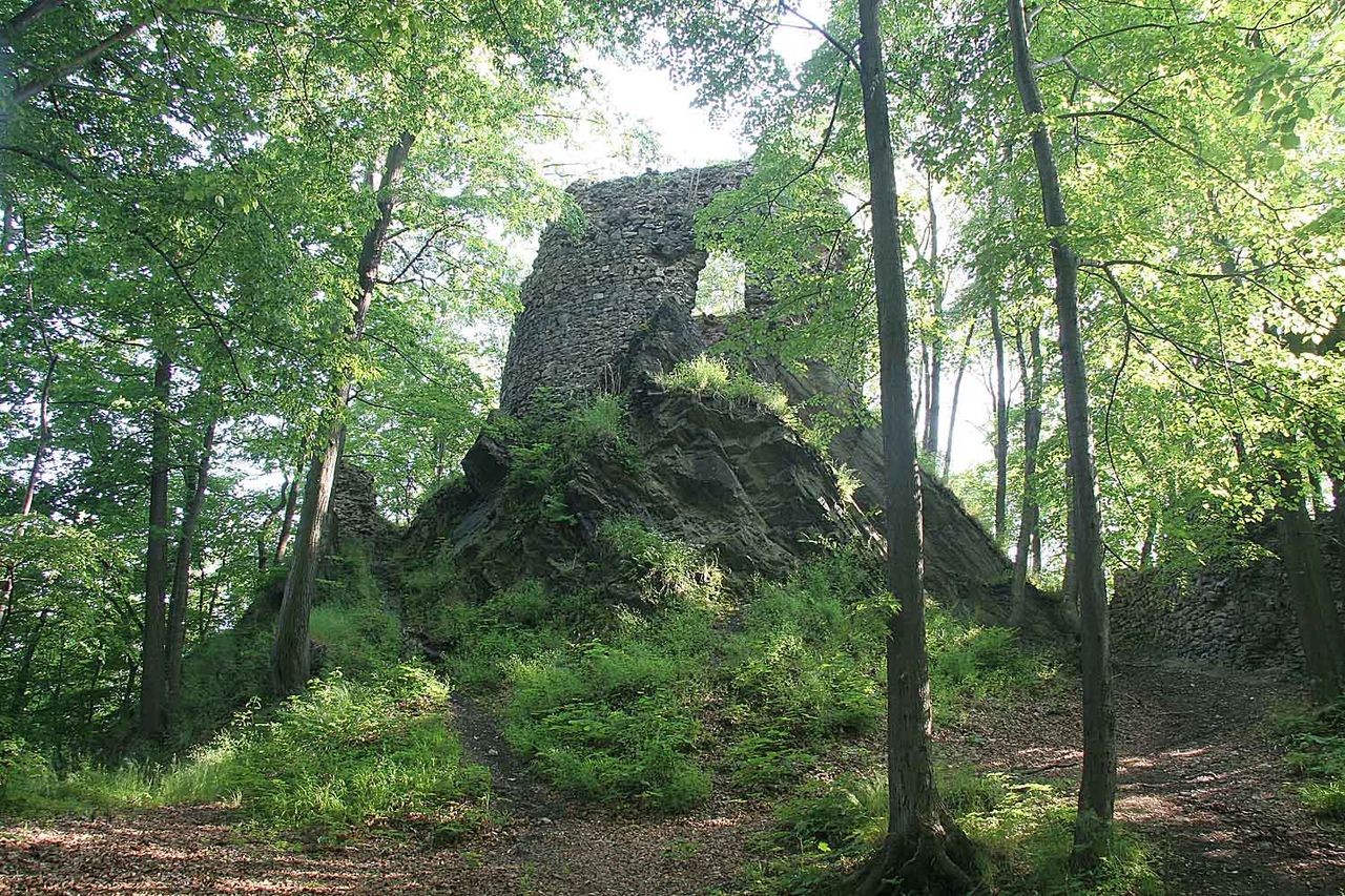Zřícenina hradu Hamrštejn