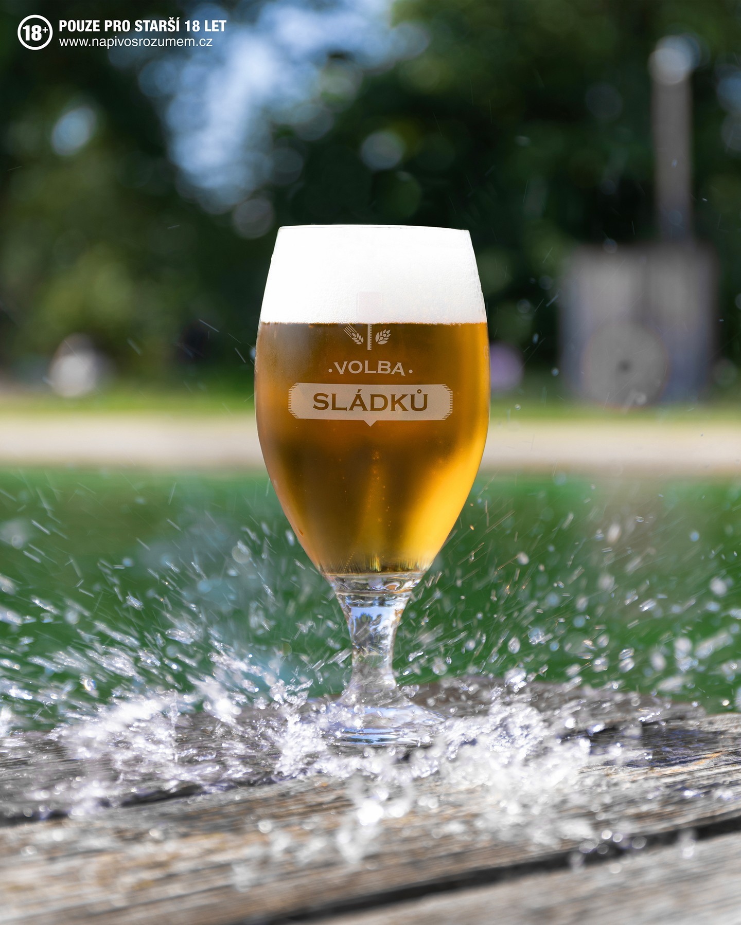 Každý měsíc nové pivo na čepu.